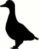 Bird (6) vinyl decal
